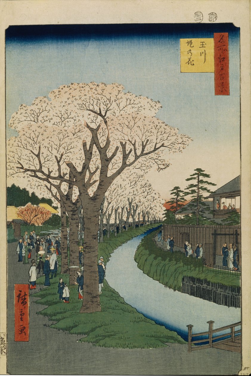 Kwitnąca wiśnia nad brzegiem rzeki Tama Sto słynnych widoków Edo, 1856-1858 autorstwa Utagawa Hiroshige