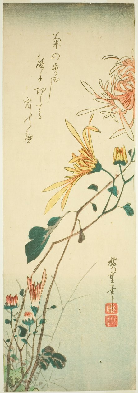 Chryzantemy autorstwa Utagawa Hiroshige
