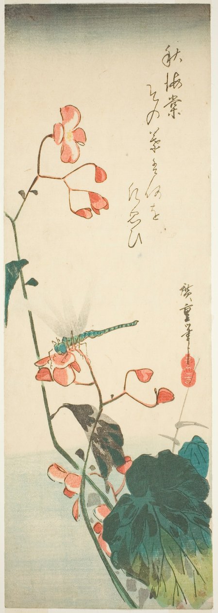 Ważka i begonia autorstwa Utagawa Hiroshige