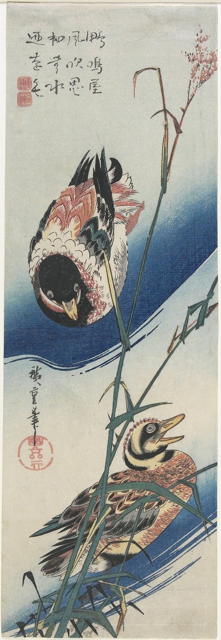 Kaczki i trzciny, 1834-1839 autorstwa Utagawa Hiroshige