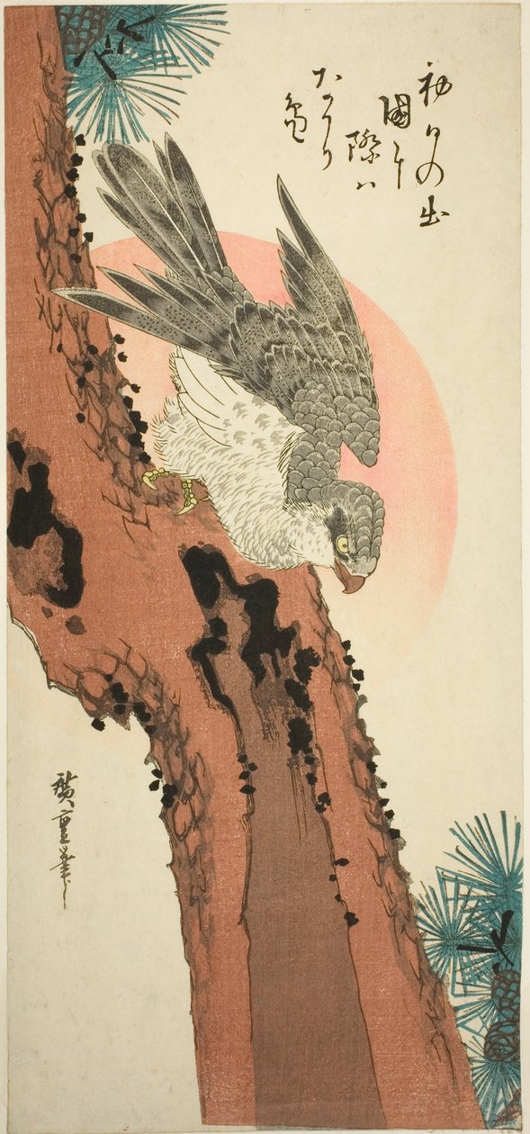 Sokół na sośnie ze wschodzącym słońcem autorstwa Utagawa Hiroshige