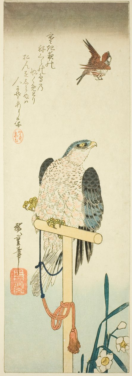 Sokół, wróbel i narcyz autorstwa Utagawa Hiroshige