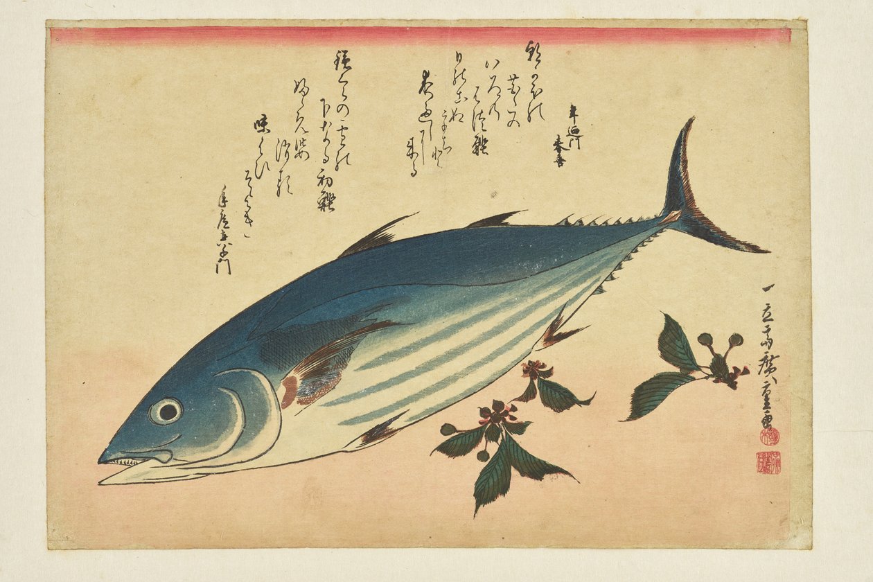 Grafika rybna: bonito i wiśnie z serii „Ławica ryb” autorstwa Utagawa Hiroshige