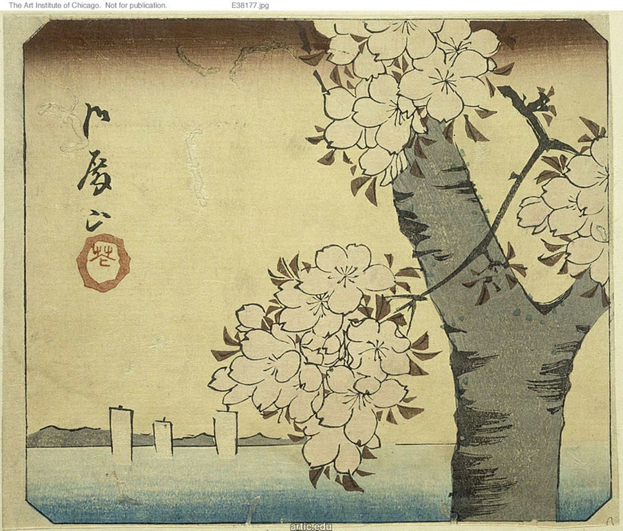 Kwiaty na Wzgórzu Goten (Gotenyama, hana), fragment arkusza z serii "Wycinanki znanych miejsc w Edo (Harimaze Koto meisho)" autorstwa Utagawa Hiroshige