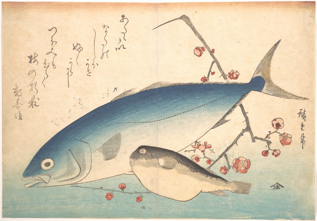 Ryby fugu i inada, z serii Uozukushi (Wszystkie odmiany ryb) autorstwa Utagawa Hiroshige