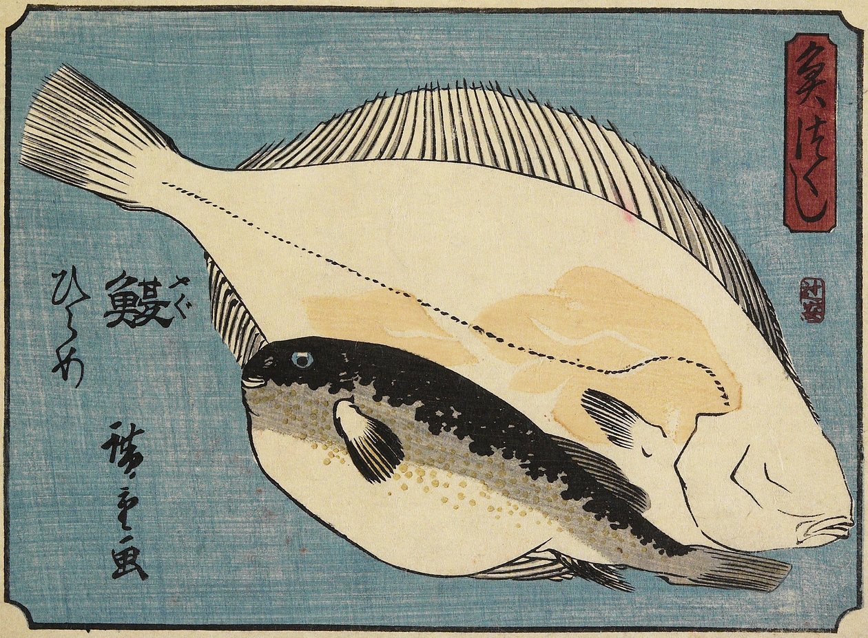 Globefish i Flądra, 1830-1844 autorstwa Utagawa Hiroshige