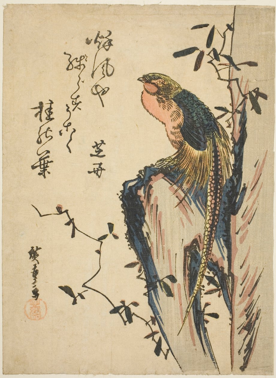 Bażant złocisty autorstwa Utagawa Hiroshige