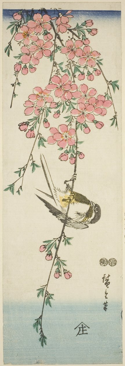 Sikora bogatka i kwiaty wiśni autorstwa Utagawa Hiroshige