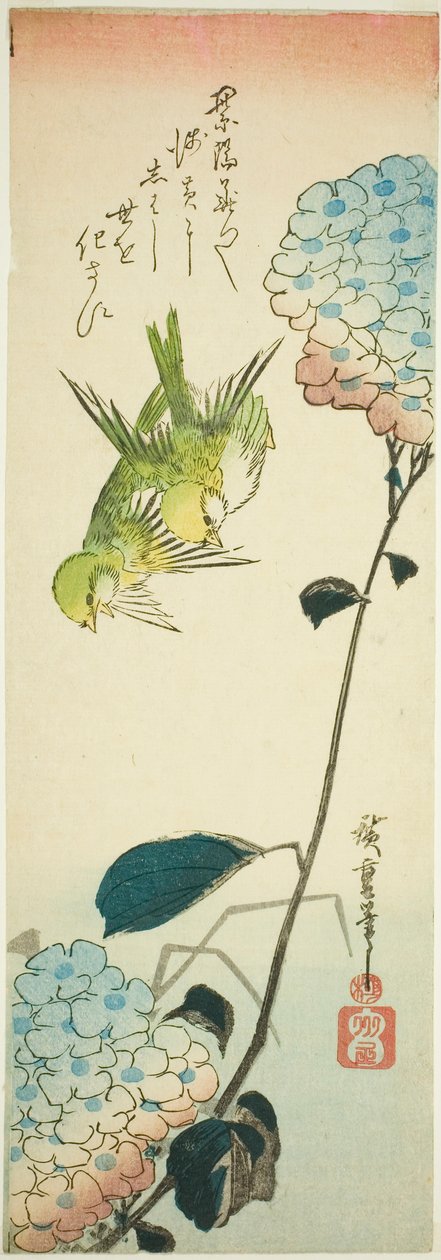 Zielone ptaki i hortensje autorstwa Utagawa Hiroshige