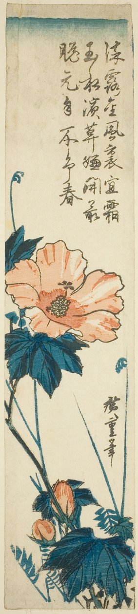 Poślubnik autorstwa Utagawa Hiroshige