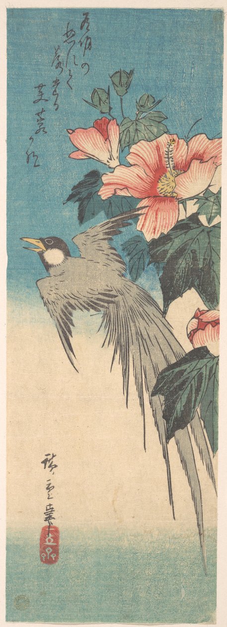 Hibiscus Mutabilis und Langschwanzvogel autorstwa Utagawa Hiroshige