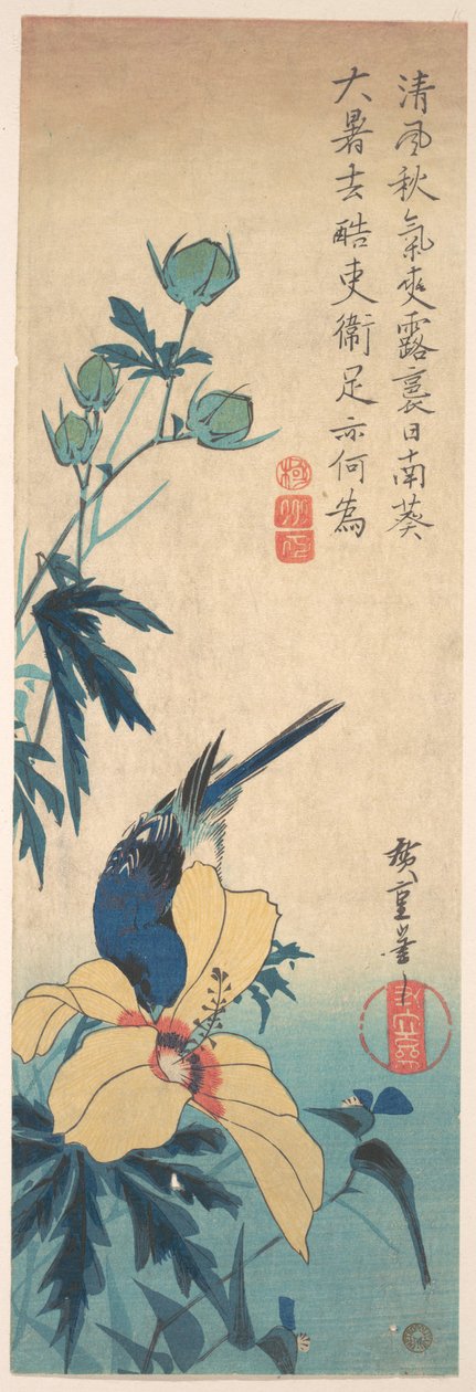 Hibiskus i niebieski ptak autorstwa Utagawa Hiroshige