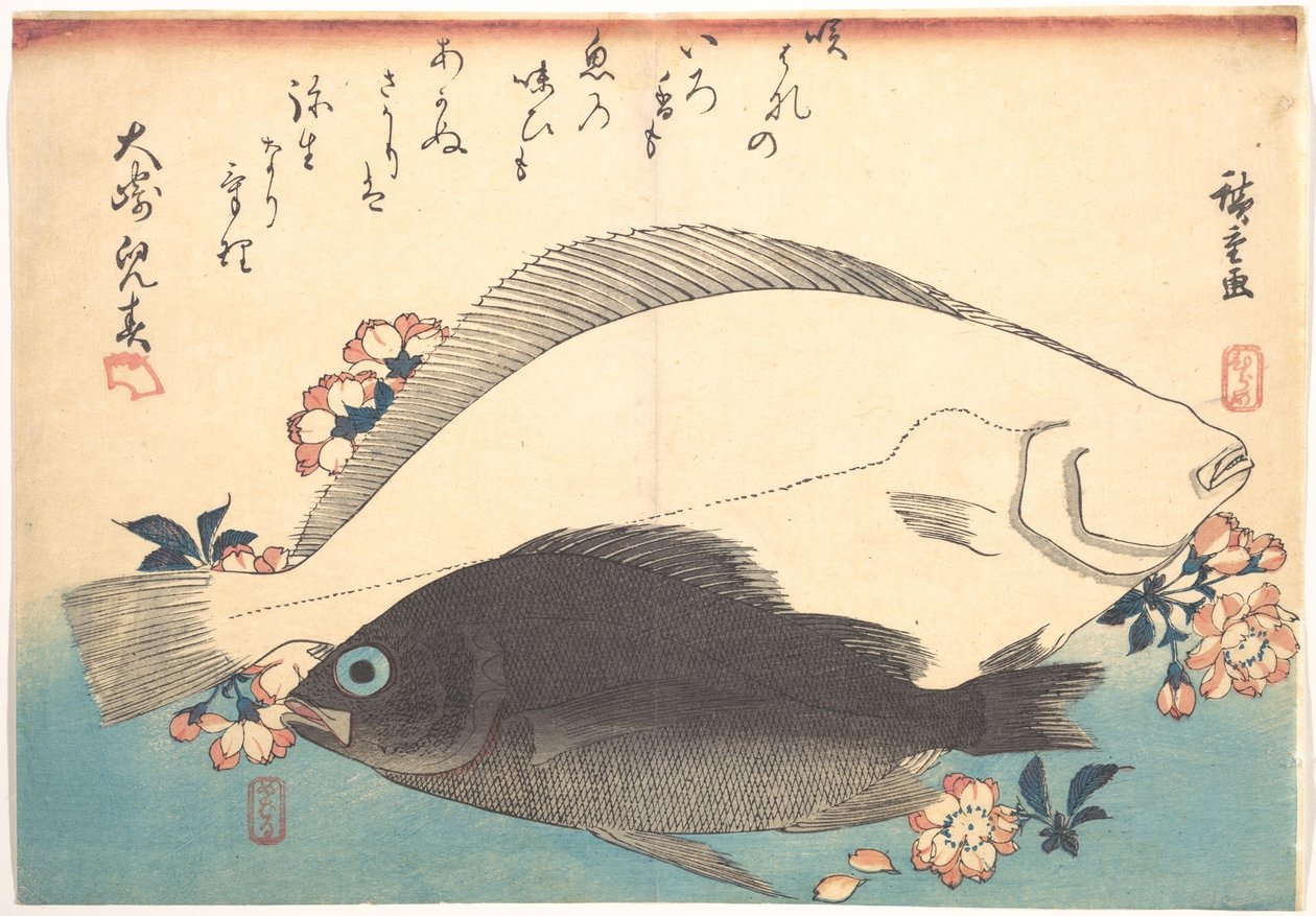 Ryby hirame i mebaru z kwiatami wiśni, z serii Uozukushi - Wszelkie gatunki ryb autorstwa Utagawa Hiroshige