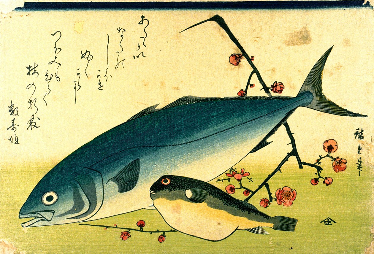 Hiroshige Ławica ryb Fugu Yellowtail autorstwa Utagawa Hiroshige