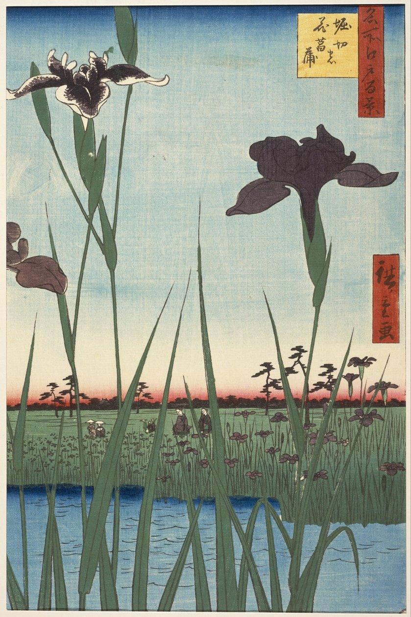 Horikiri Iris Garden (Horikiri no hanashōbu), z serii Sto słynnych widoków Edo (Meisho Edo hyakkei) autorstwa Utagawa Hiroshige