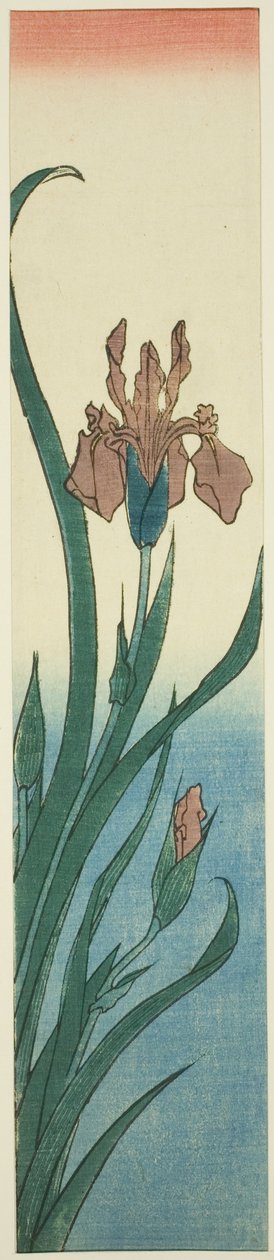 Irys autorstwa Utagawa Hiroshige