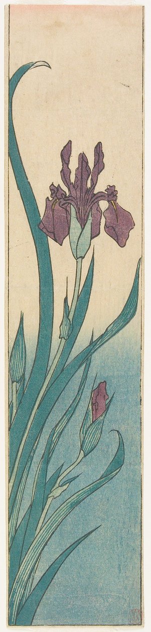 Iris autorstwa Utagawa Hiroshige