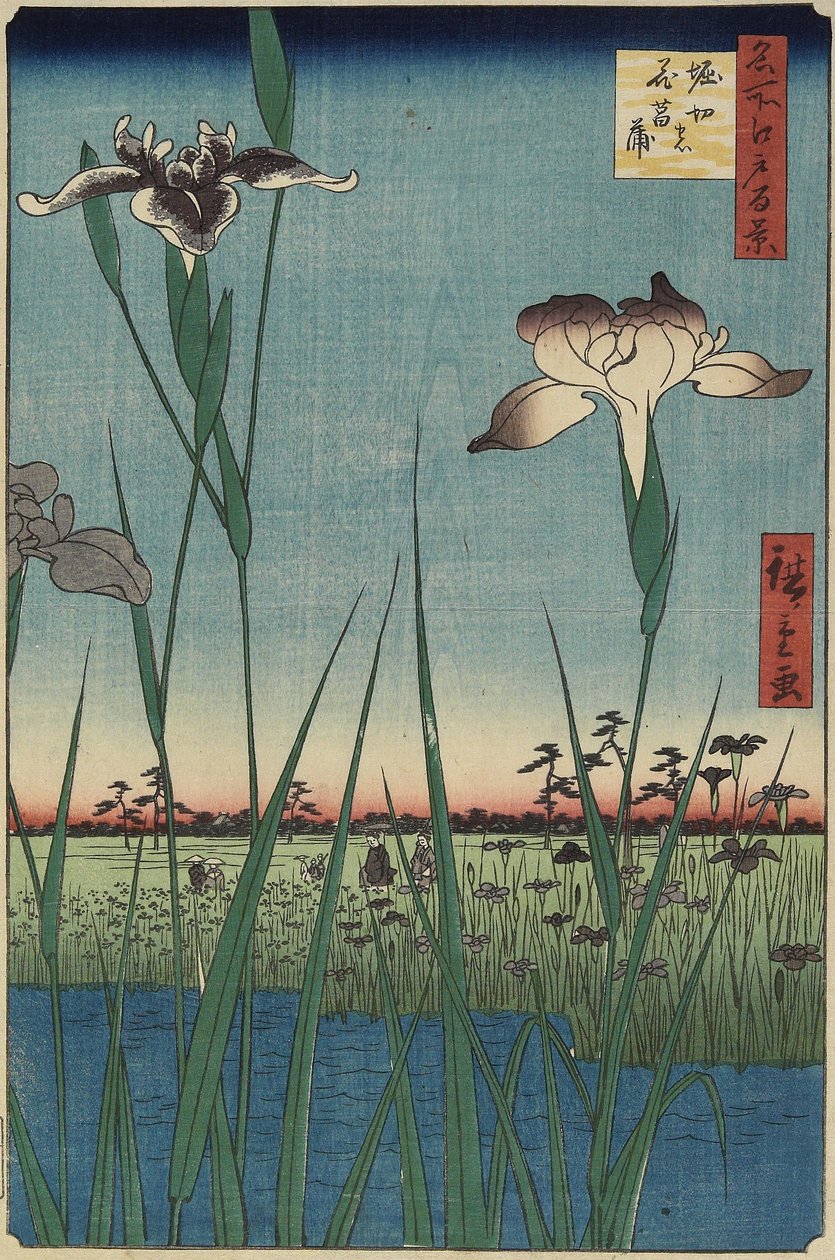 Ogród irysowy w Horikiri, maj 1857 r. autorstwa Utagawa Hiroshige