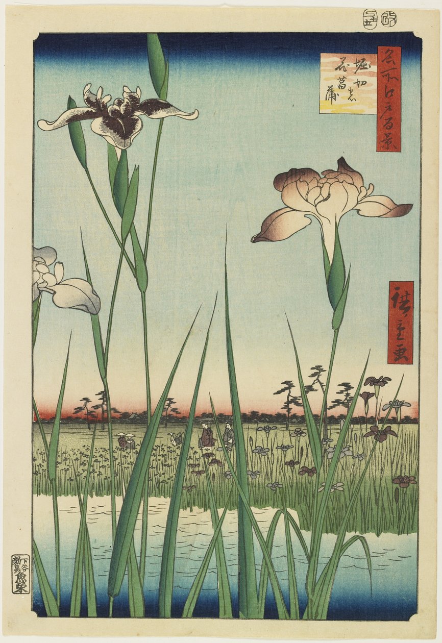 Ogród irysowy w Horikiri, maj 1857 r. autorstwa Utagawa Hiroshige