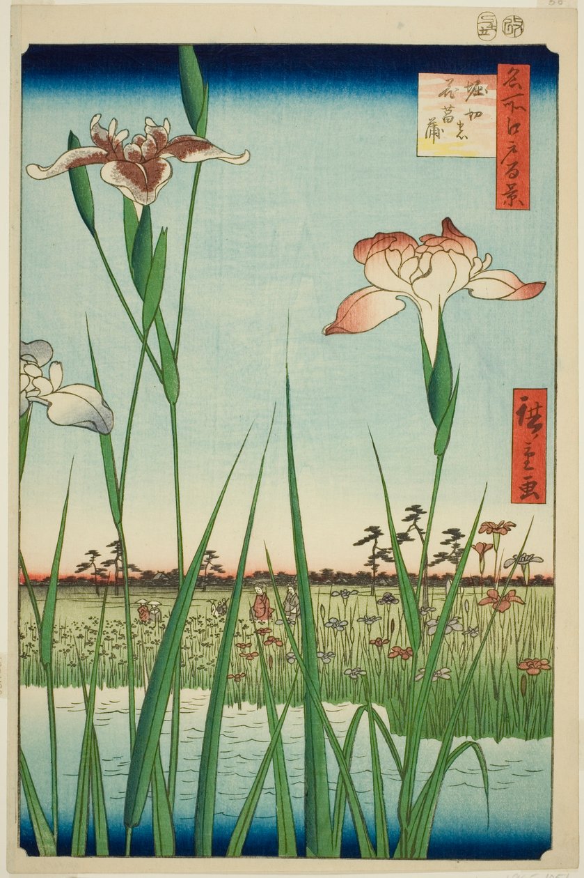 Iras w Horikiri (Horikiri no Hanadokorobe), z serii „Ridge dre d fa net s Views of Edo (Sto słynnych widoków Edo)” autorstwa Utagawa Hiroshige