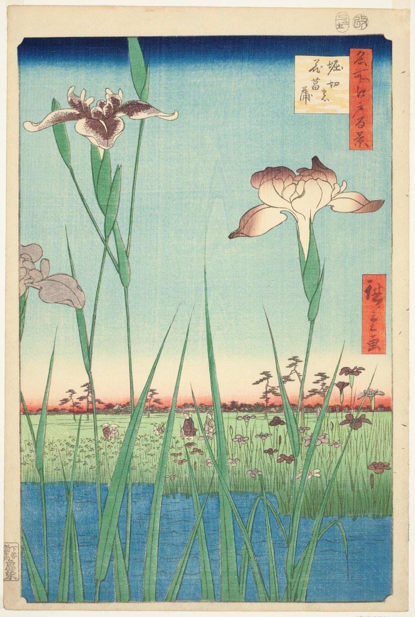 Irase s at Horikiri (Horikiri no Hanadokorobe), z serii „Ridge dre d fa net s widoki Edo (Sto słynnych widoków Edo)” autorstwa Utagawa Hiroshige