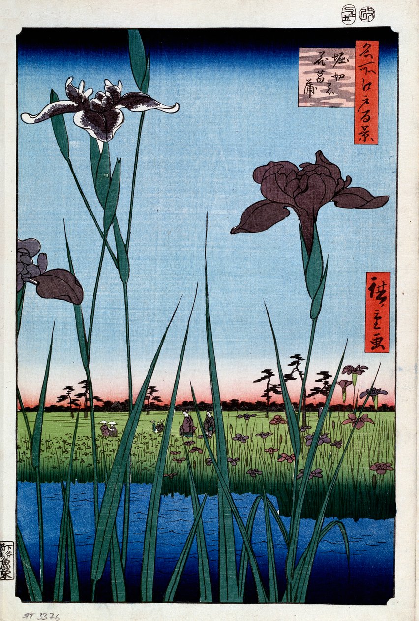 Irysy w Horikiri Sto słynnych widoków Edo, 1856-1858. autorstwa Utagawa Hiroshige