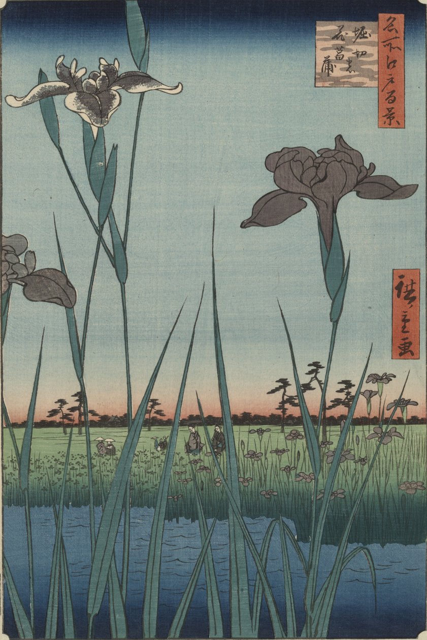 Irysy z Horikiri, z cyklu „Sto słynnych widoków Edo” autorstwa Utagawa Hiroshige