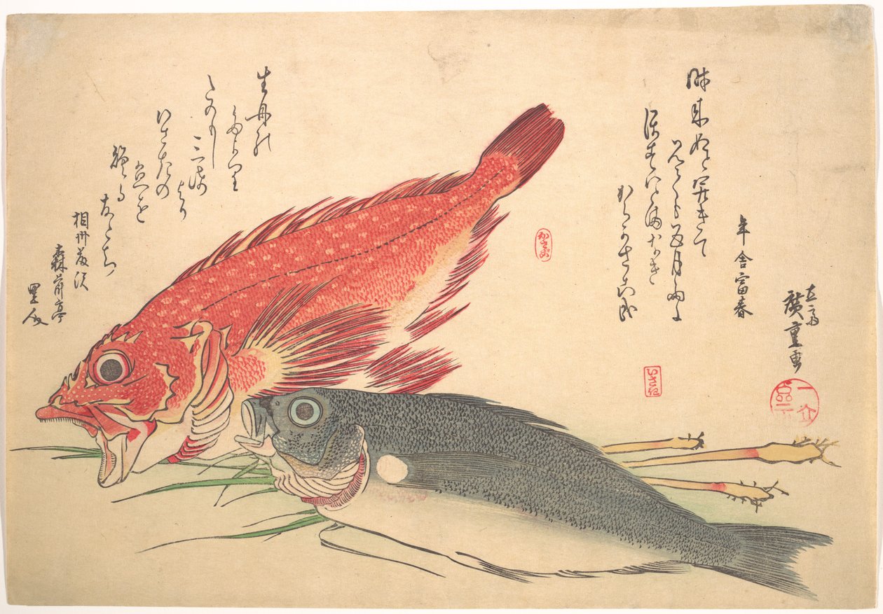 Ryby Isaki i Kasago, z serii Uozukushi (Wszystkie rodzaje ryb) autorstwa Utagawa Hiroshige