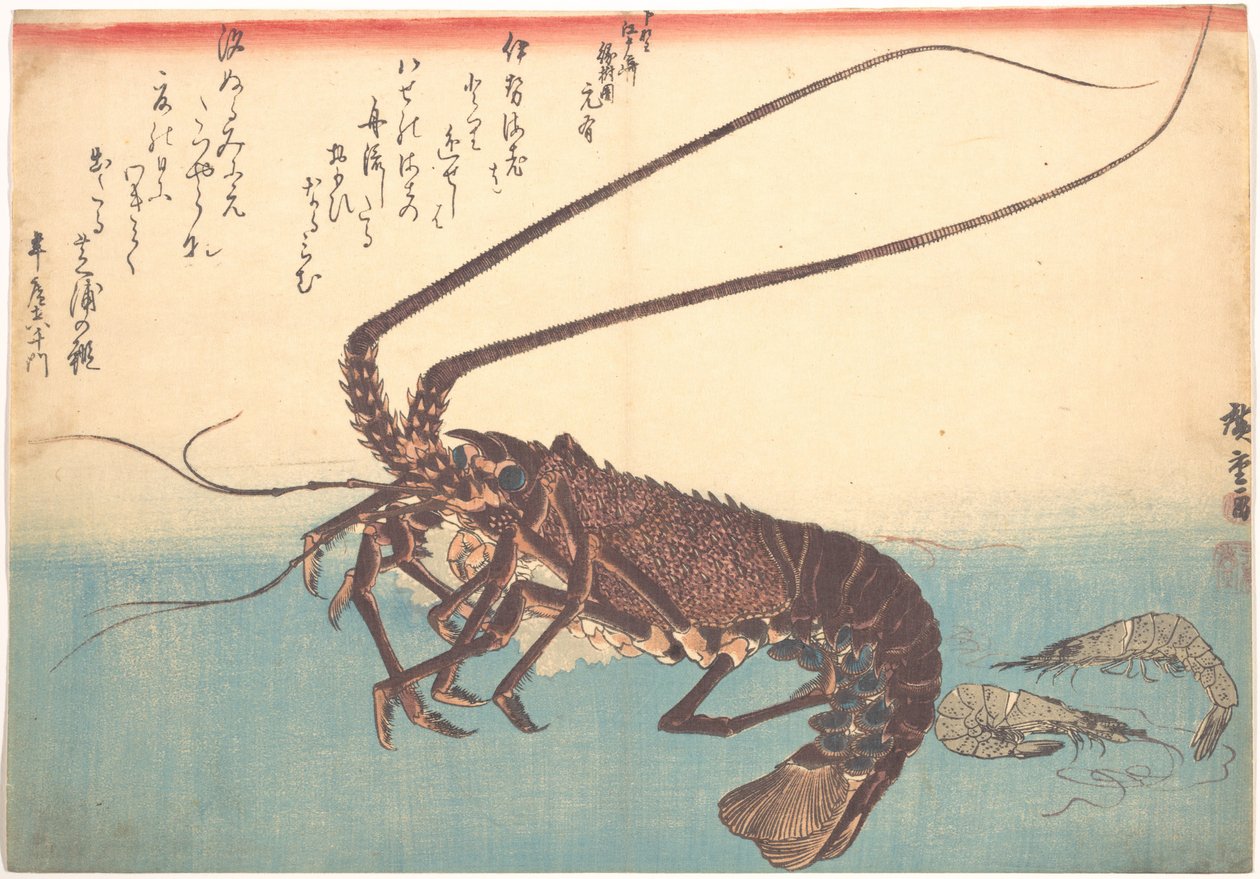 Ise-ebi i Shiba-ebi, z serii Uozukushi (Wszystkie rodzaje ryb) autorstwa Utagawa Hiroshige
