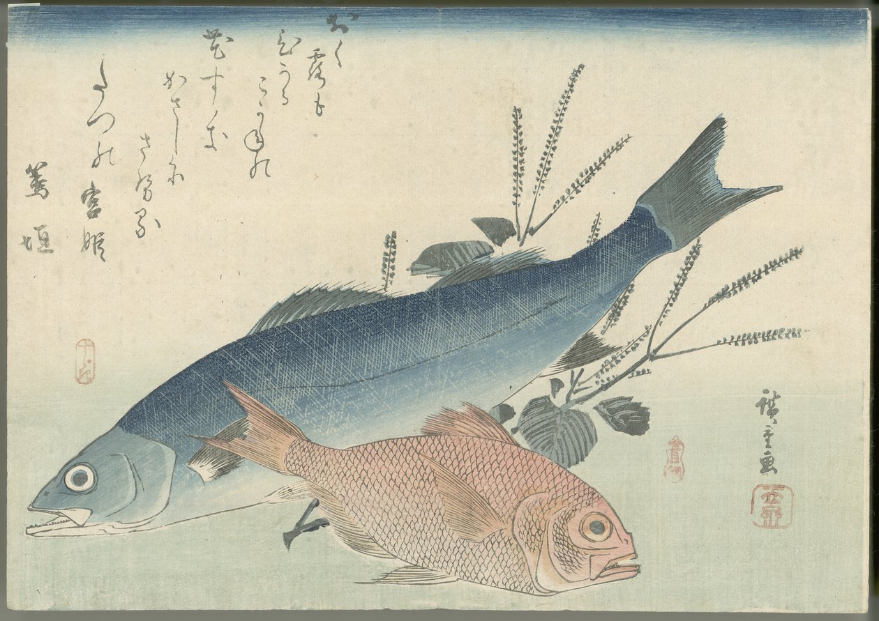Okoń morski japoński, dorada złocista i shiso autorstwa Utagawa Hiroshige