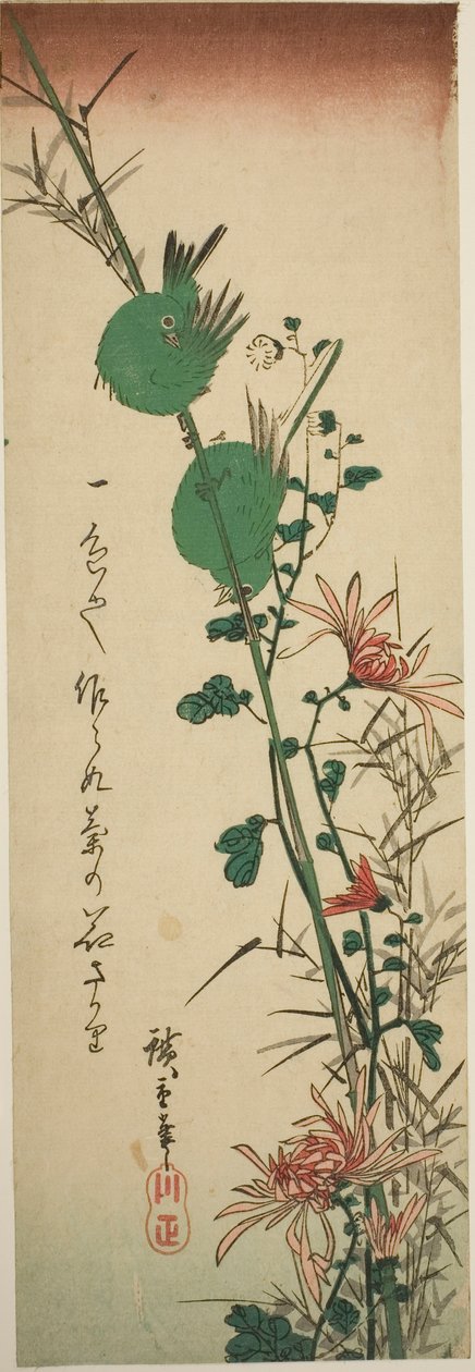 Japońskie białookie i chryzantemy autorstwa Utagawa Hiroshige