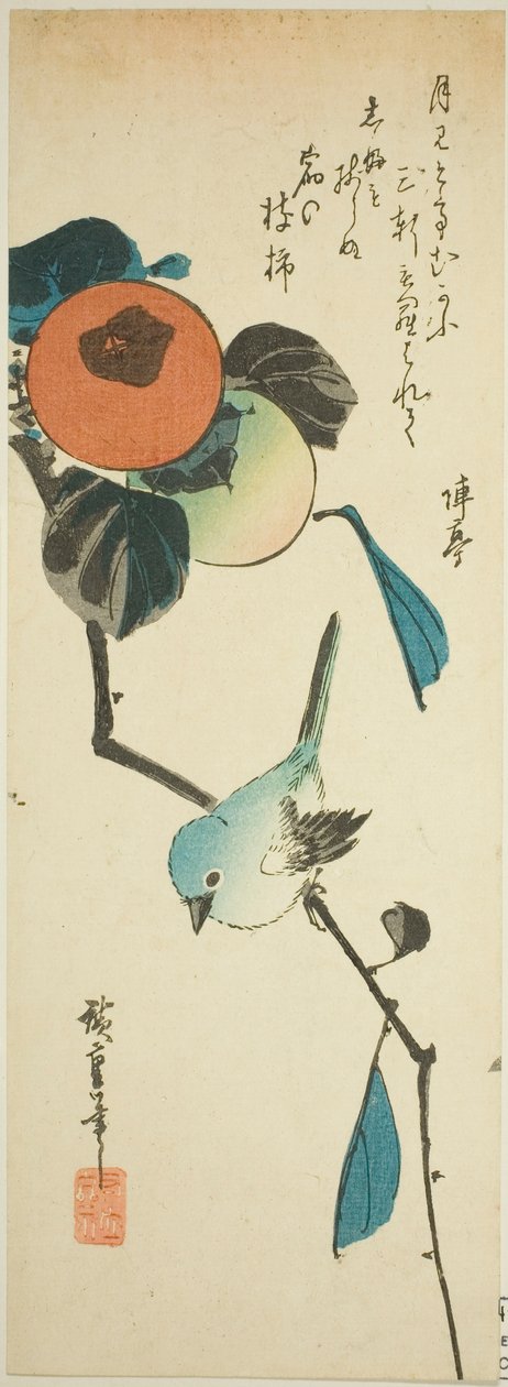 Japońskie białe oko i persymony autorstwa Utagawa Hiroshige