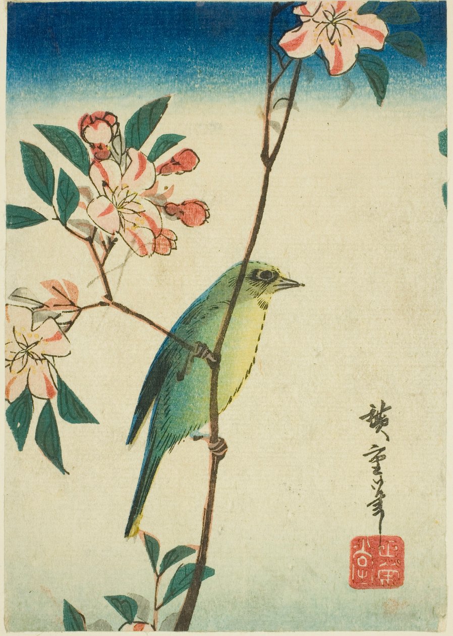 Japońskie białe oko na kwitnącej gałęzi autorstwa Utagawa Hiroshige