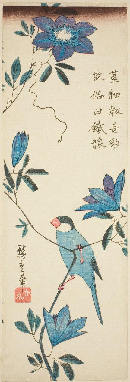 Wróbel jawajski i powojnik autorstwa Utagawa Hiroshige