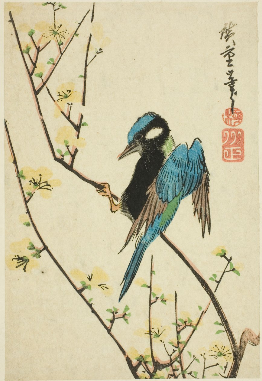 Wróbel jawajski na gałęzi wiśni autorstwa Utagawa Hiroshige