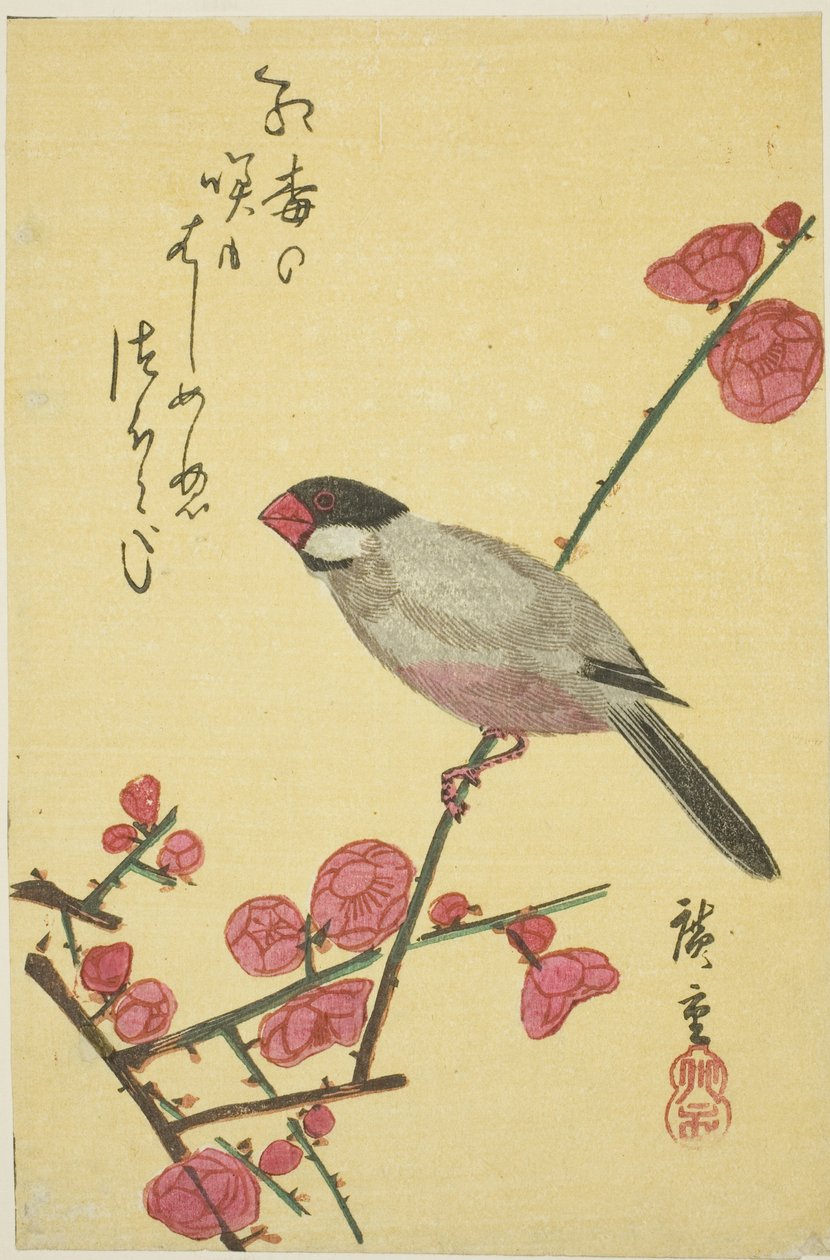 Wróbel jawajski na gałązce śliwy autorstwa Utagawa Hiroshige