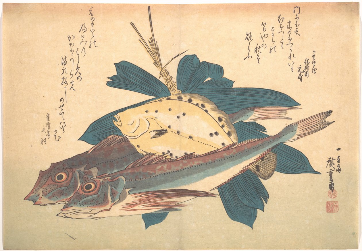 Ryby Kanagashira i Karei, z serii Uozukushi (Wszystkie odmiany ryb) autorstwa Utagawa Hiroshige