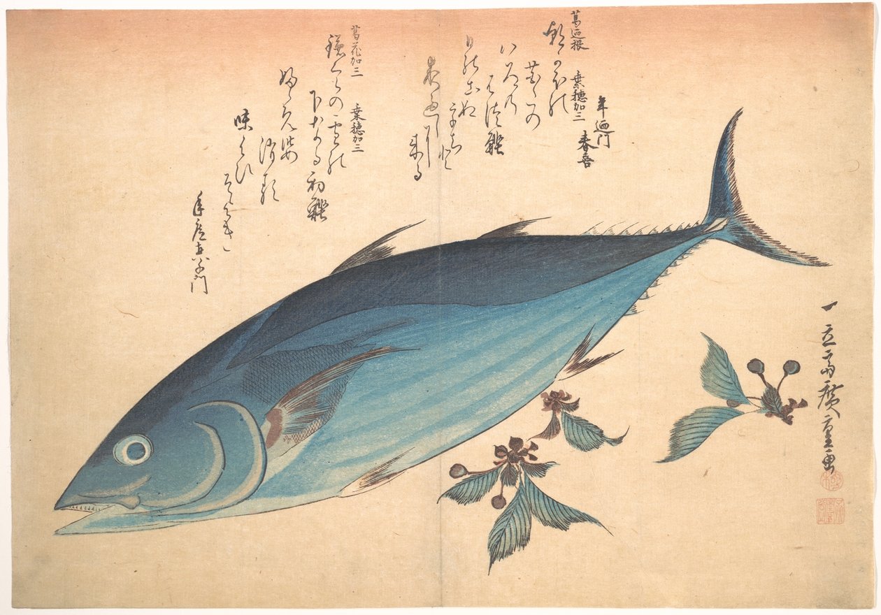 Ryba katsuo z pąkami wiśni, z serii Uozukushi (Wszystkie gatunki ryb) autorstwa Utagawa Hiroshige