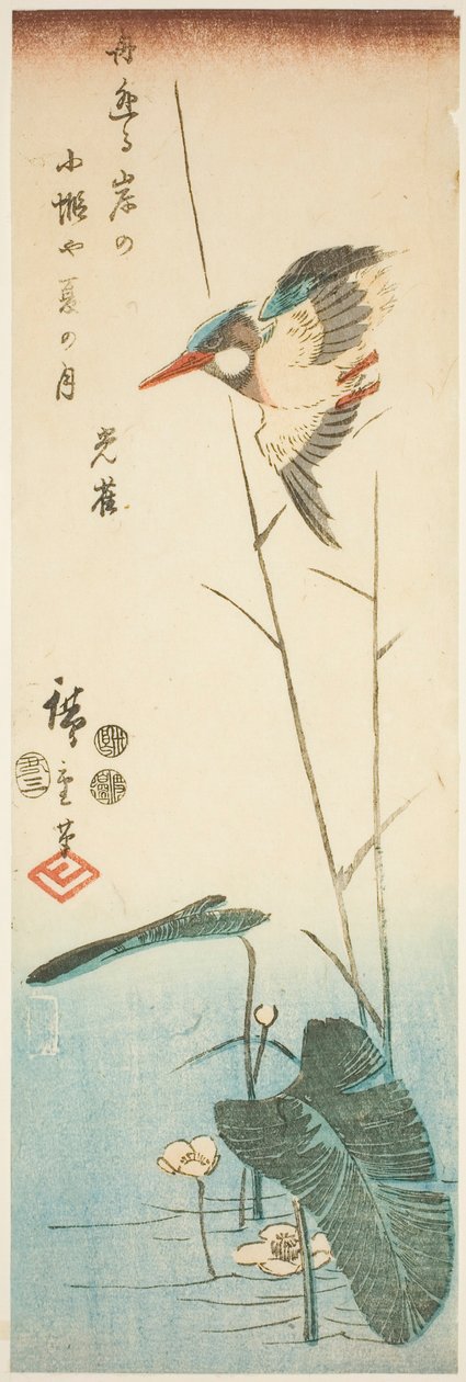 Zimorodek nad rośliną wodną o żółtych kwiatach autorstwa Utagawa Hiroshige