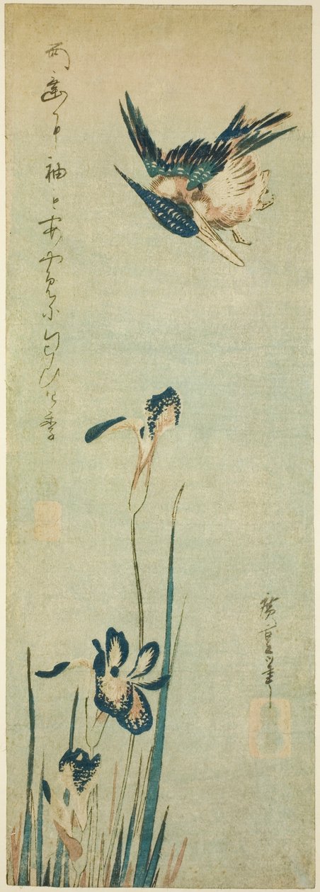 Zimorodek i irys autorstwa Utagawa Hiroshige