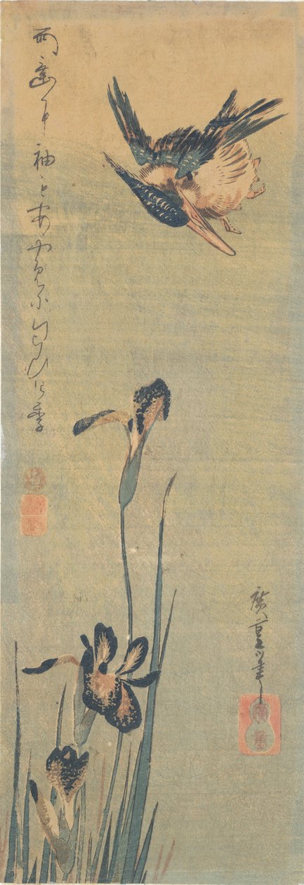 Zimorodek przelatujący nad irysem autorstwa Utagawa Hiroshige