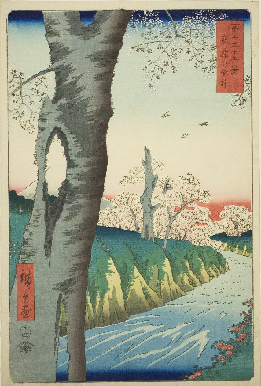 Koganei w prowincji Musashi (Musashi Koganei), z cyklu „Trzydzieści sześć widoków góry Fuji (Fuji sanjurokkei)” autorstwa Utagawa Hiroshige