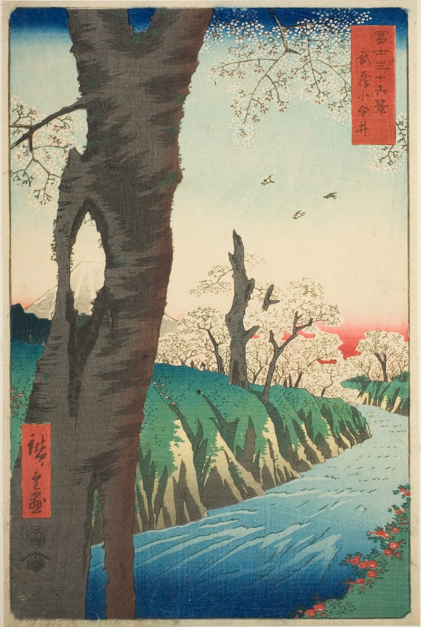 Koganei w prowincji Musashi (Musashi Koganei), z cyklu „Trzydzieści sześć widoków góry Fuji (Fuji sanjurokkei)” autorstwa Utagawa Hiroshige