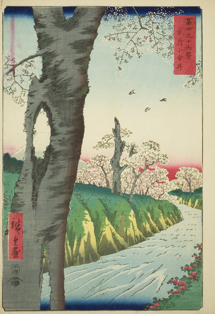 Koganei w prowincji Musashi (Musashi Koganei), z cyklu „Trzydzieści sześć widoków góry Fuji (Fuji sanjurokkei)” autorstwa Utagawa Hiroshige