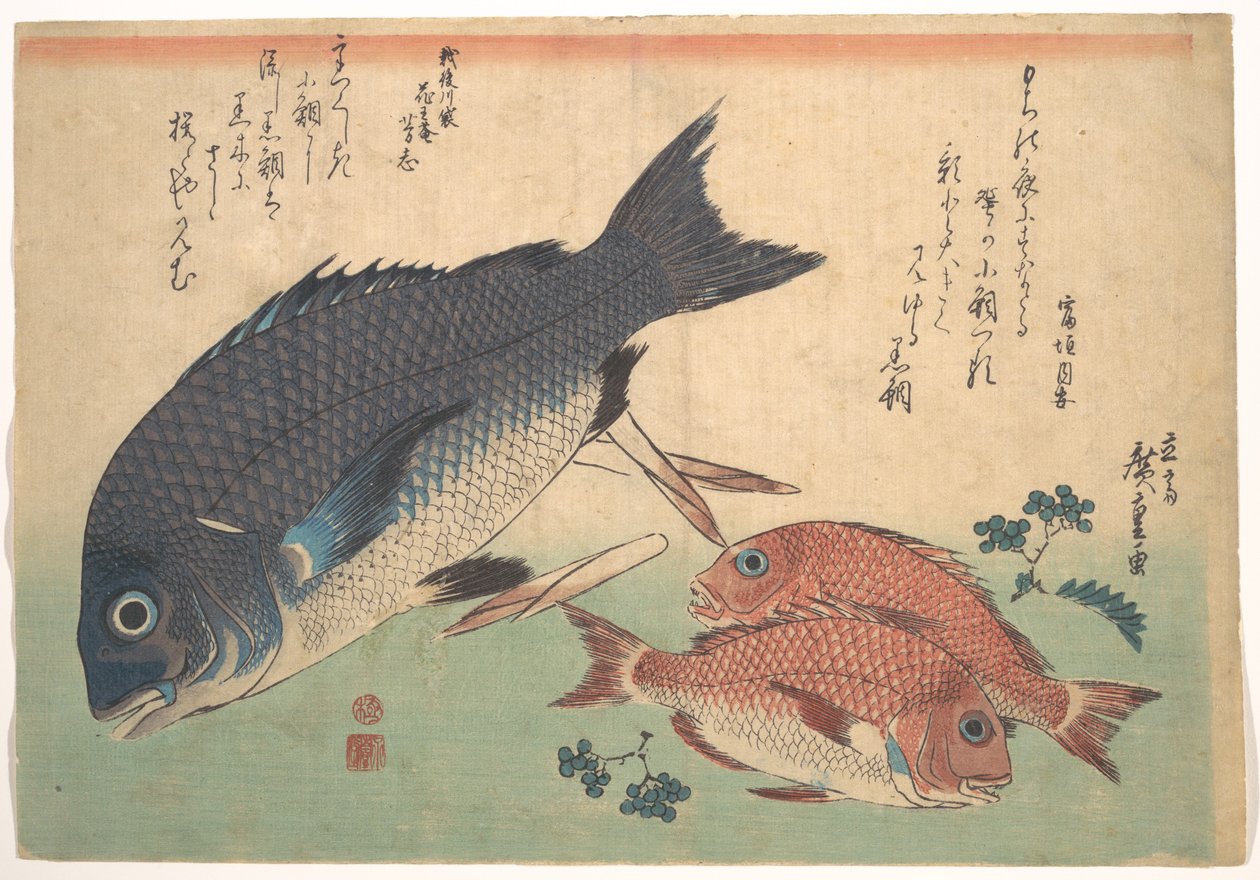 Ryby Kurodai i Kodai z pędami bambusa i jagodami, z serii „Uozukushi” (Wszystkie rodzaje ryb) autorstwa Utagawa Hiroshige