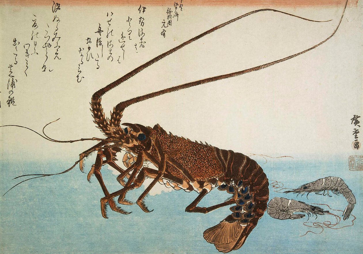 Homar i krewetki, 1832-1834. autorstwa Utagawa Hiroshige