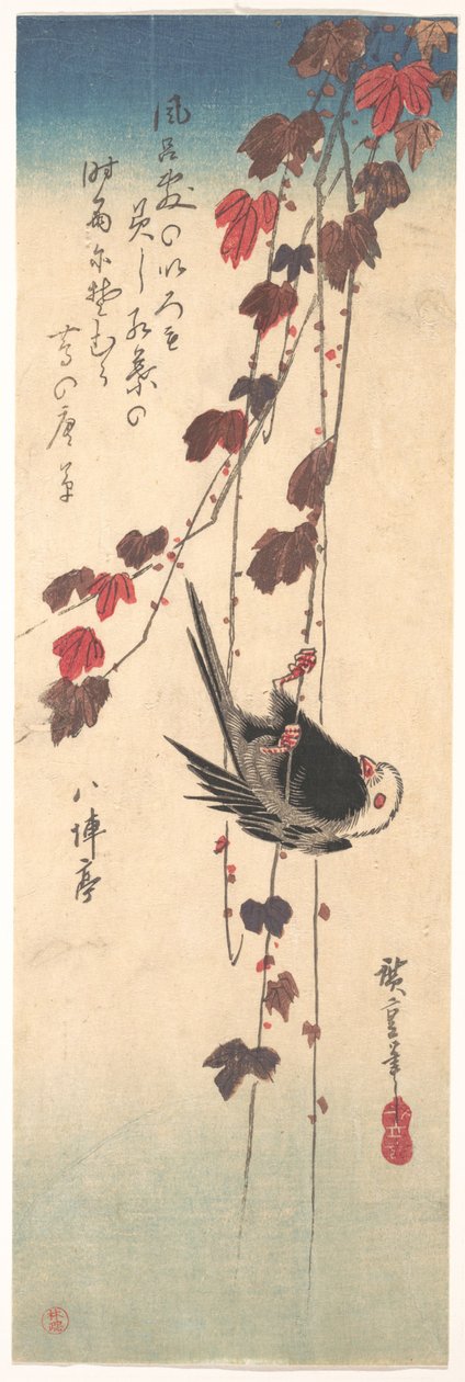 Rudzik długoogonowy na jesiennym bluszczu autorstwa Utagawa Hiroshige