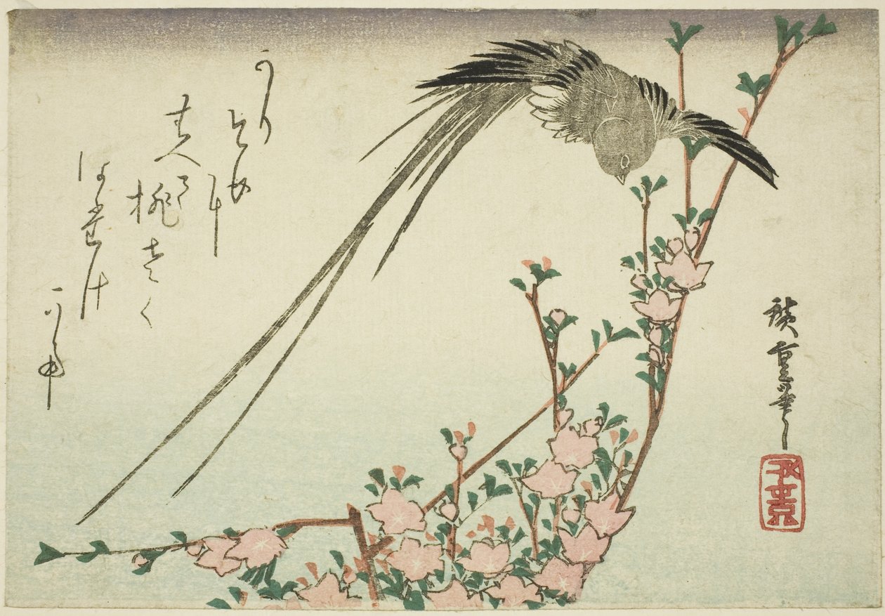 Ptaki z długimi ogonami i kwiaty brzoskwini autorstwa Utagawa Hiroshige