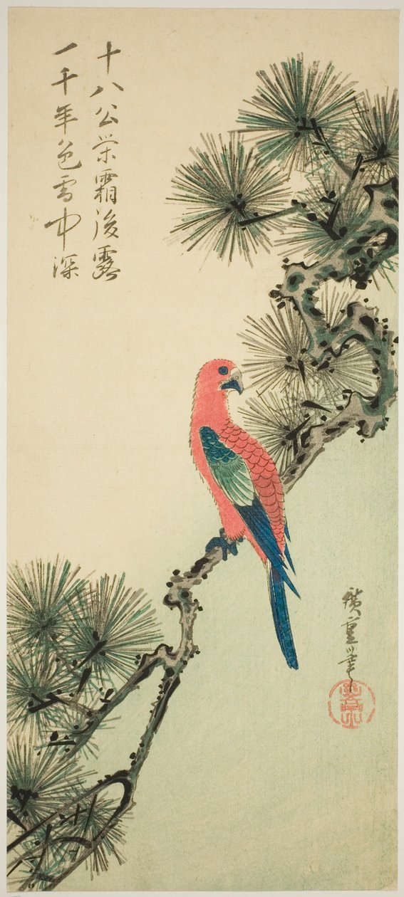 Ara na gałęzi sosny autorstwa Utagawa Hiroshige