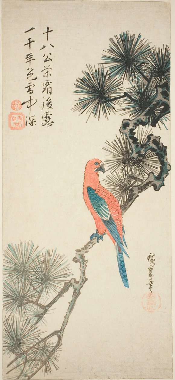 Ara na gałęzi sosny autorstwa Utagawa Hiroshige